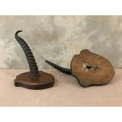 Pair of turf horns on wooden support around 1900