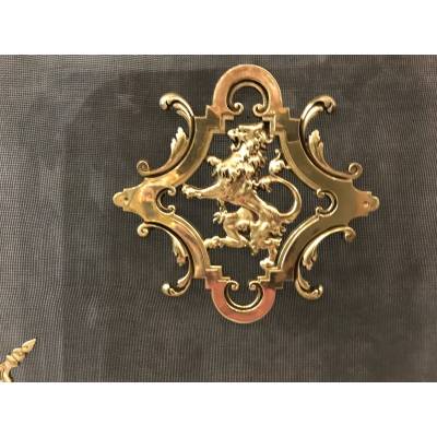 Polished bronze fireplace screen and epoch 19 th