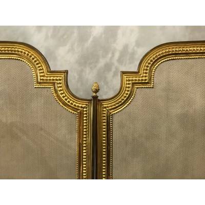 Pare fireplace antique gilded brass brass 19 th