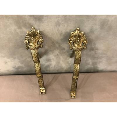 Pair of tringles with bronze curtains of epoch 19 th