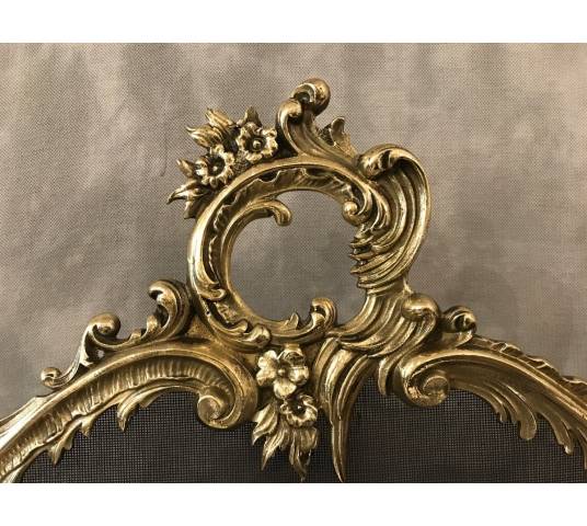 Pare fire of fireplace screen old bronze of epoch 19 th