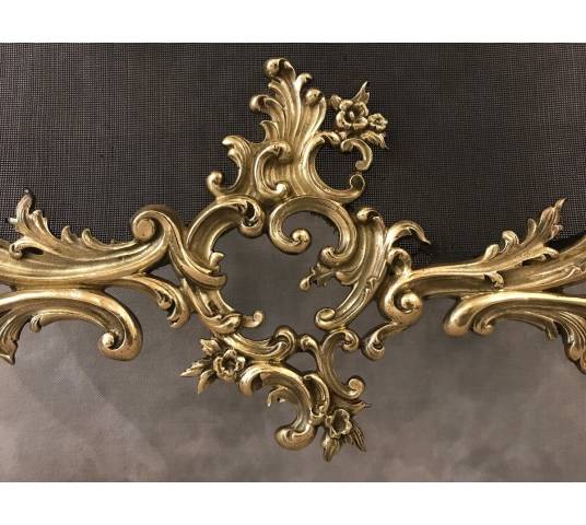 Pare fire of fireplace screen old bronze of epoch 19 th