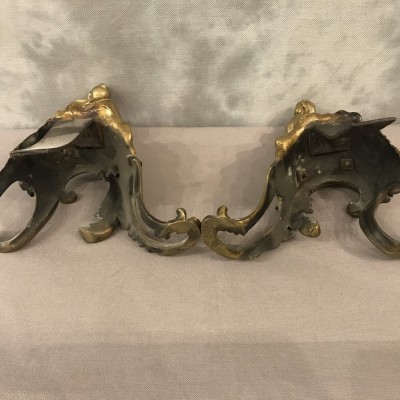 Beautiful pair of bronze tracks decorated in the Louis XV era Chinese