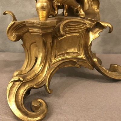 Ravissante paire de chenets en bronze doré d'époque 19 ème