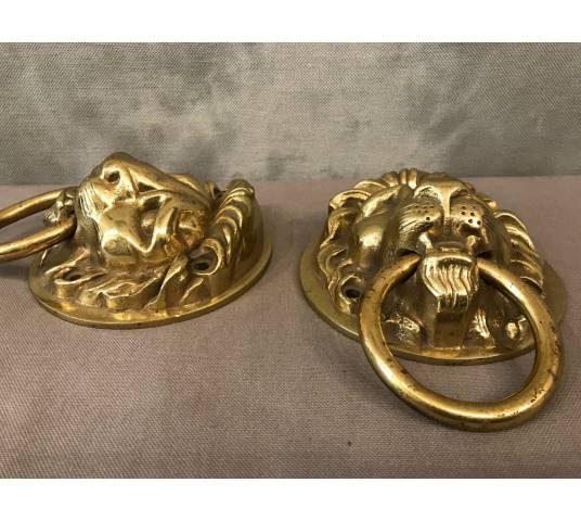 Two beautiful polished and polished bronze heads of epoch 20