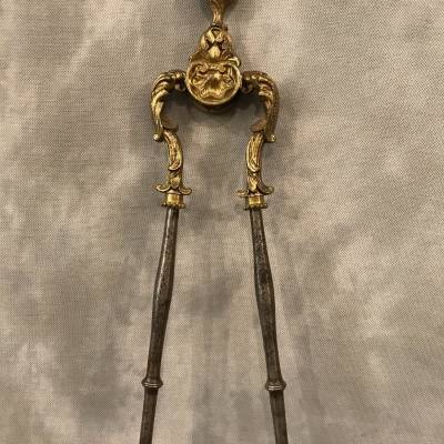 Beautiful iron pince and bronze epoch 19 th