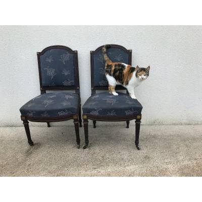 Pair of chairs held in mahogany 19 th Napoleon III Louis XVI